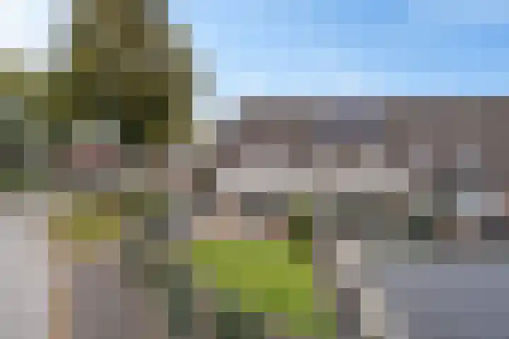 Hondsdraf 34 Klazienaveen thumbnail 31