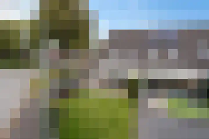 Hondsdraf 34 Klazienaveen thumbnail 32
