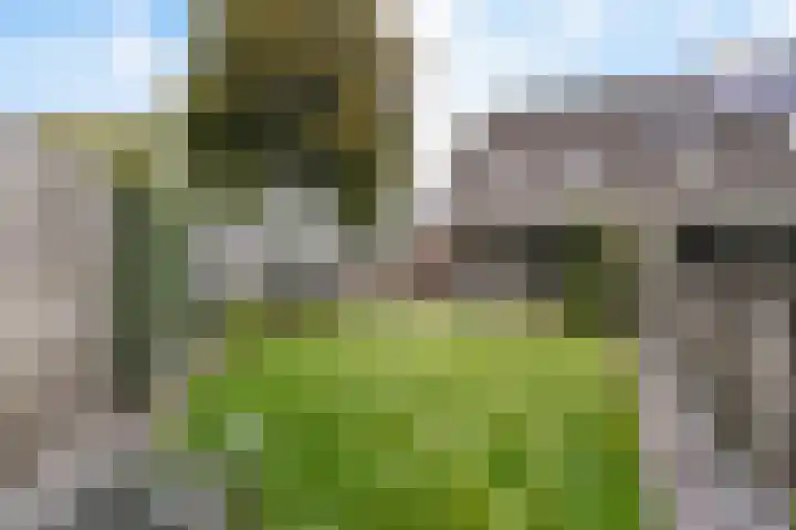 Hondsdraf 34 Klazienaveen thumbnail 33