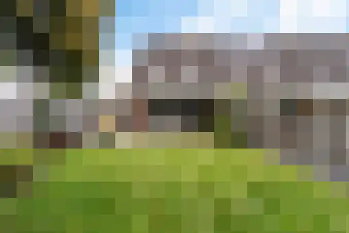 Hondsdraf 34 Klazienaveen thumbnail 34
