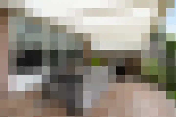 Hondsdraf 34 Klazienaveen thumbnail 35