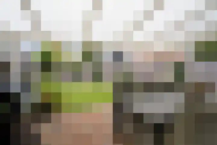 Hondsdraf 34 Klazienaveen thumbnail 36