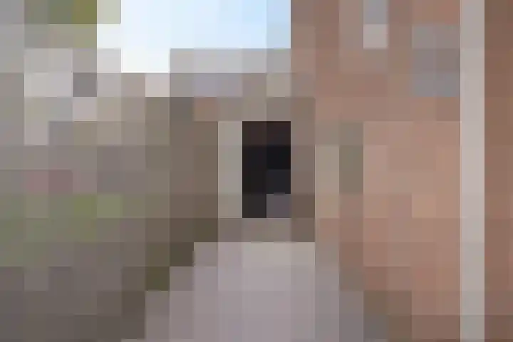 Hondsdraf 34 Klazienaveen thumbnail 38