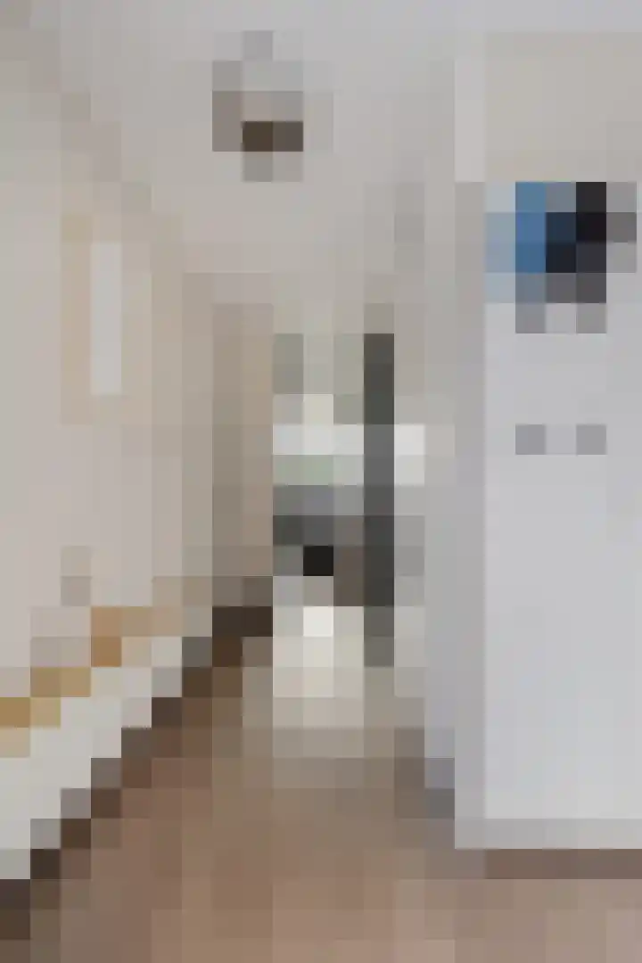 Hondsdraf 34 Klazienaveen thumbnail 5
