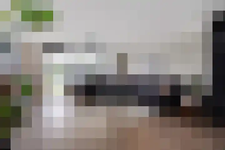 Hondsdraf 34 Klazienaveen thumbnail 7