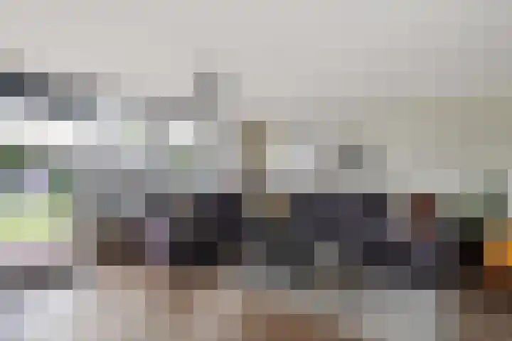 Hondsdraf 34 Klazienaveen thumbnail 8