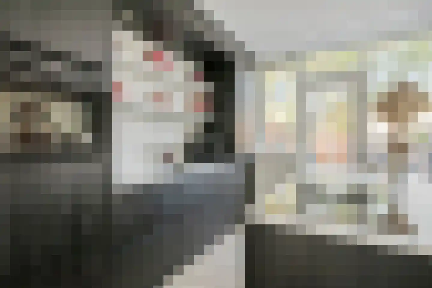 Hondsdraf 36 Oldenzaal thumbnail 13