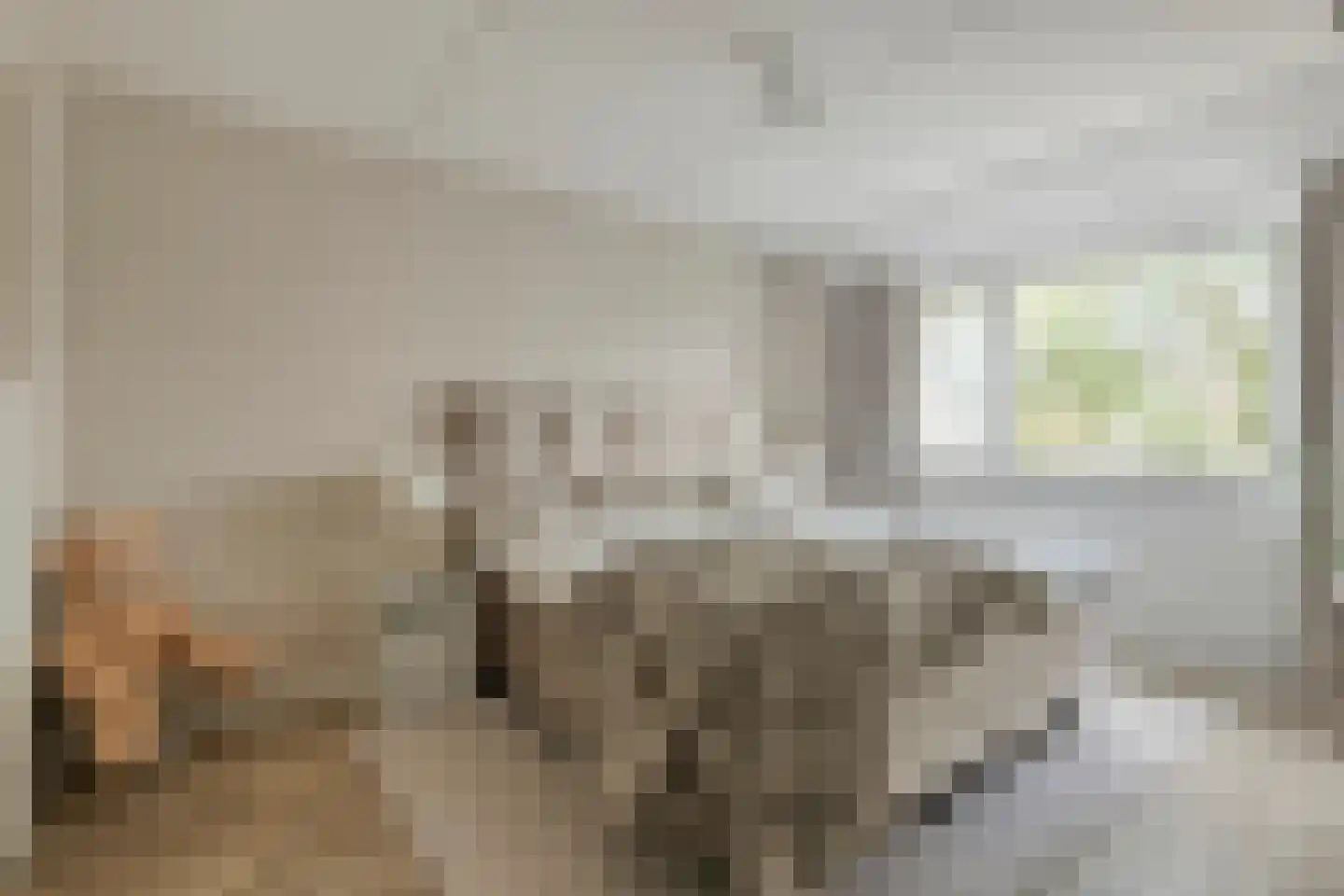 Hondsdraf 36 Oldenzaal thumbnail 19