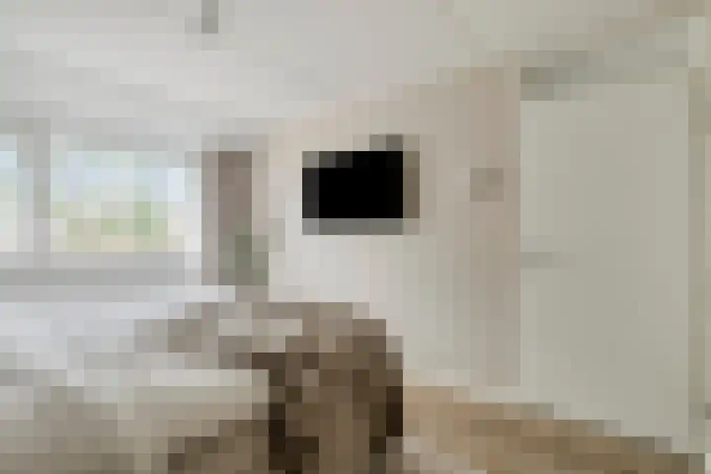 Hondsdraf 36 Oldenzaal thumbnail 20