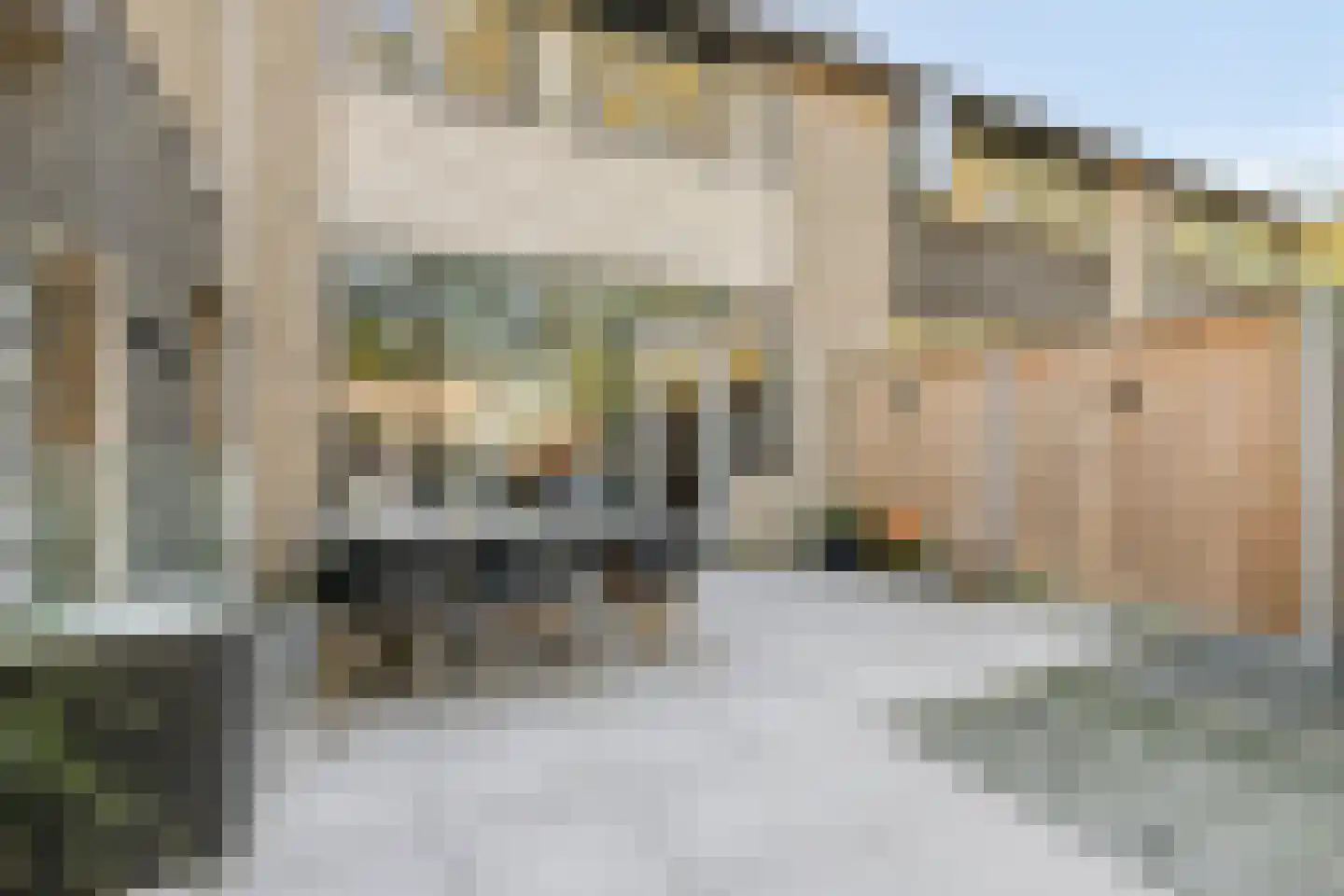 Hondsdraf 36 Oldenzaal thumbnail 27
