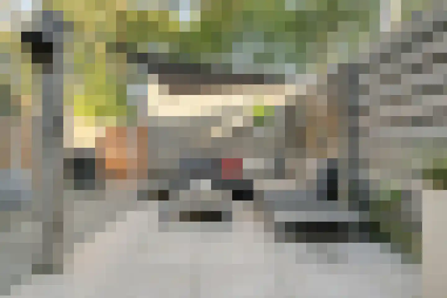 Hondsdraf 36 Oldenzaal thumbnail 28