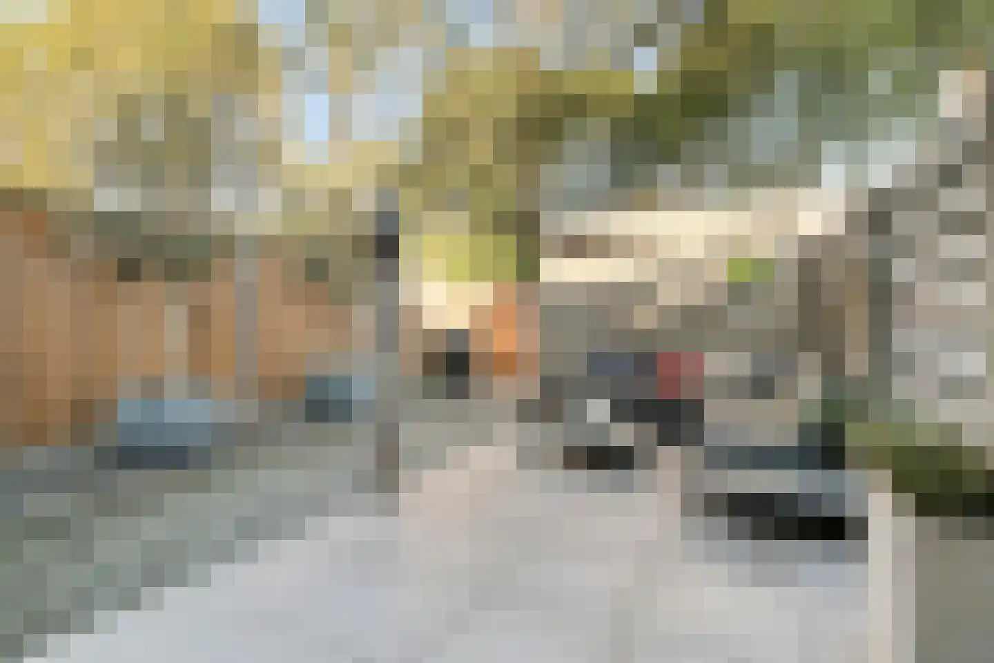 Hondsdraf 36 Oldenzaal thumbnail 29