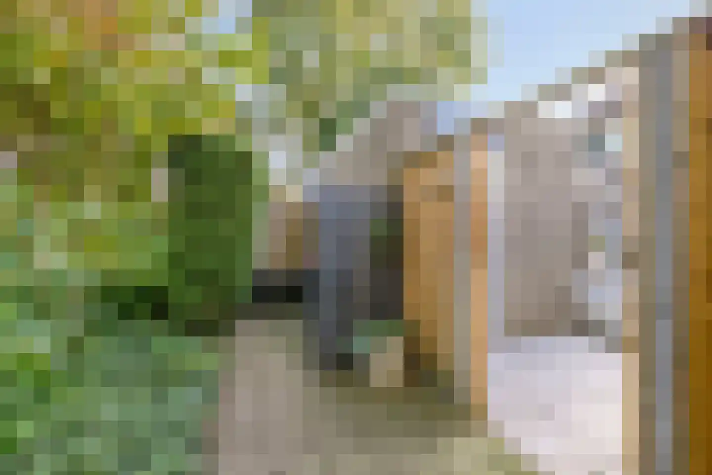 Hondsdraf 36 Oldenzaal thumbnail 30