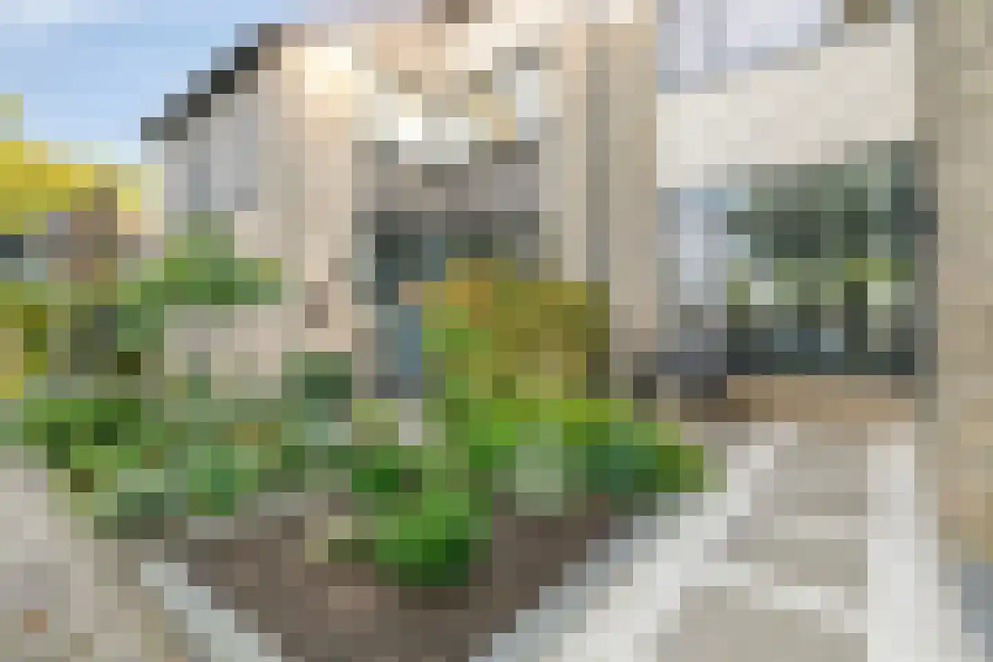 Hondsdraf 36 Oldenzaal thumbnail 32