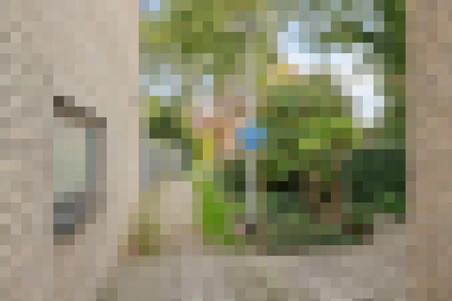 Hondsdraf 36 Oldenzaal thumbnail 34