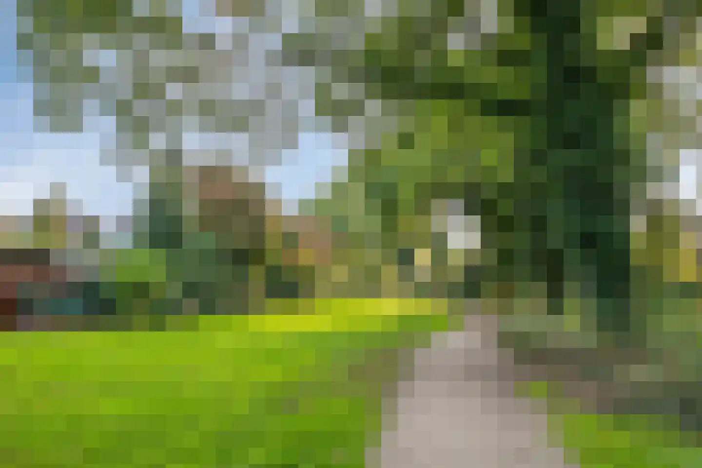 Hondsdraf 36 Oldenzaal thumbnail 35