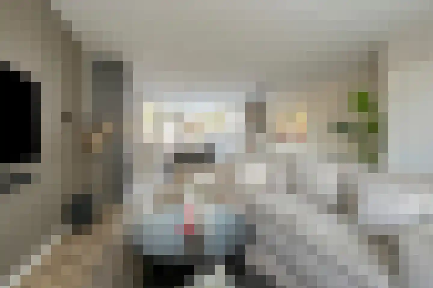 Hondsdraf 36 Oldenzaal thumbnail 6