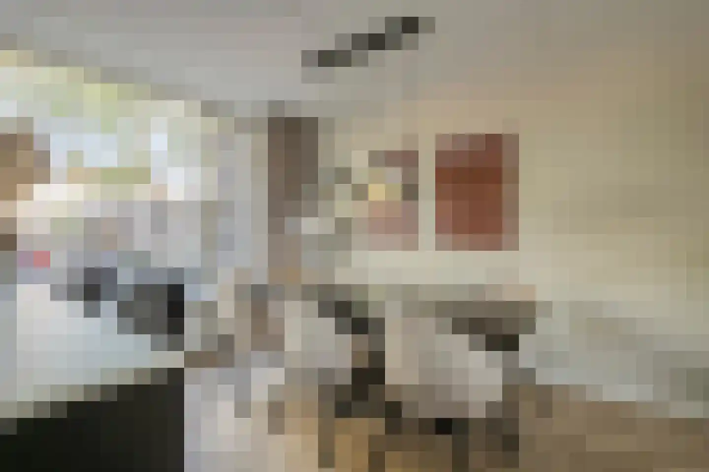 Hondsdraf 36 Oldenzaal thumbnail 8