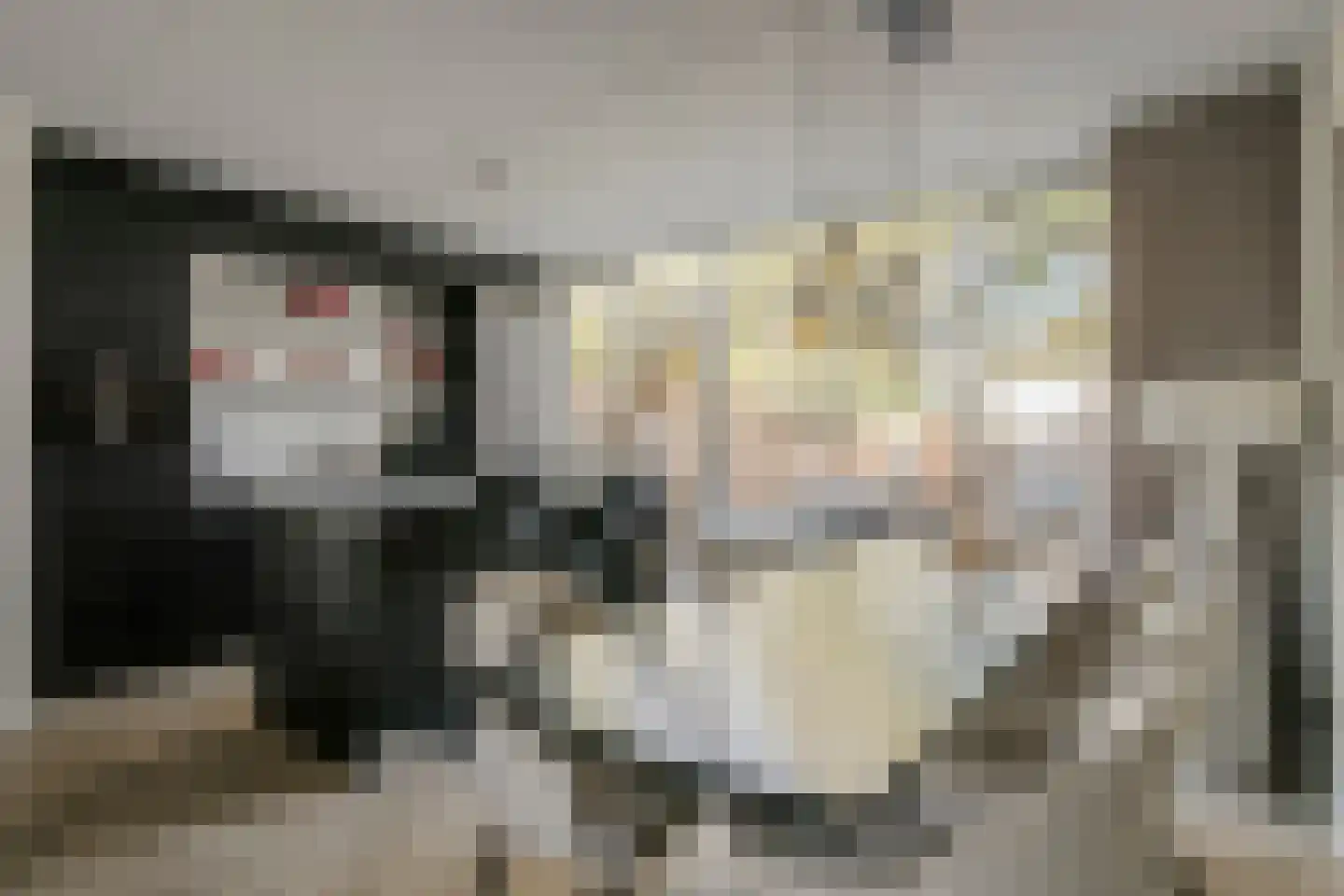 Hondsdraf 36 Oldenzaal thumbnail 9