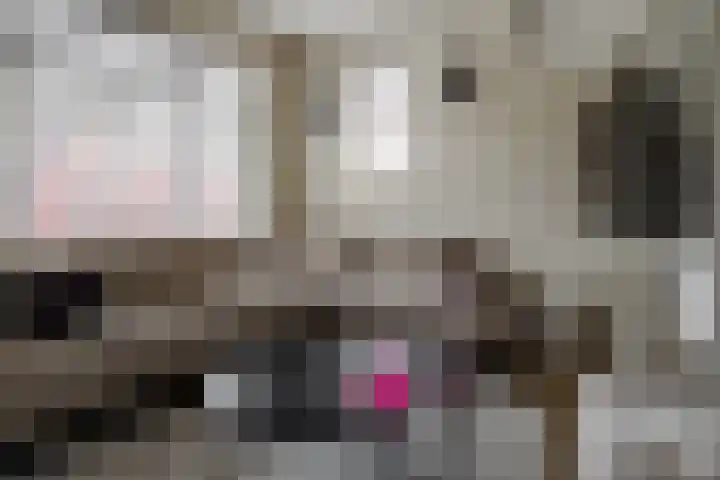 Hondsdraf 4 a Vroomshoop thumbnail 10