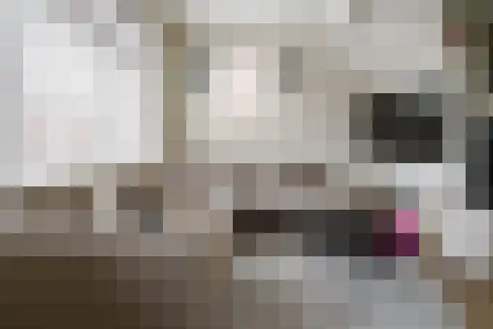 Hondsdraf 4 a Vroomshoop thumbnail 11
