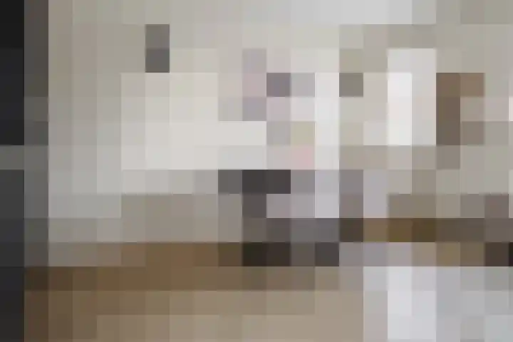 Hondsdraf 4 a Vroomshoop thumbnail 12