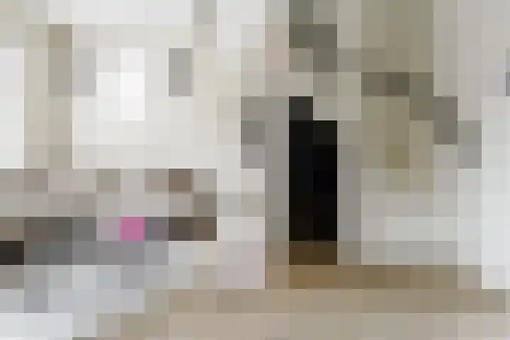 Hondsdraf 4 a Vroomshoop thumbnail 13
