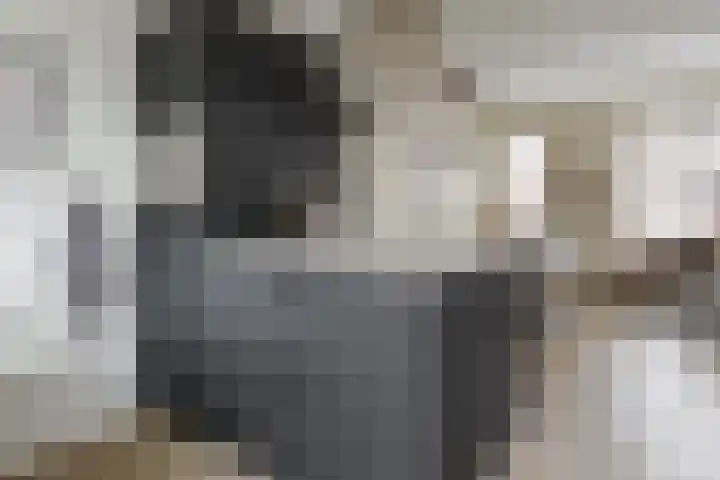 Hondsdraf 4 a Vroomshoop thumbnail 15
