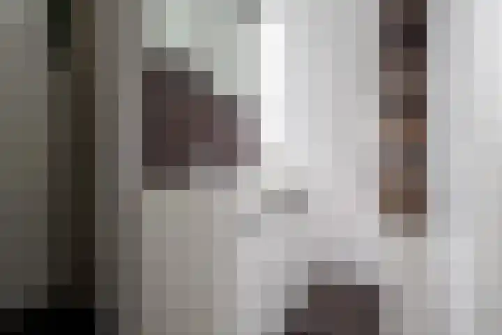 Hondsdraf 4 a Vroomshoop thumbnail 18