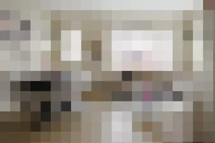 Hondsdraf 4 a Vroomshoop foto 2