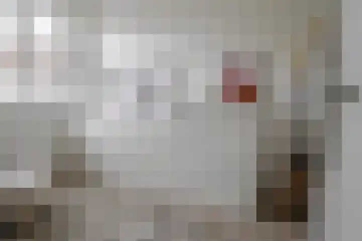 Hondsdraf 4 a Vroomshoop thumbnail 20