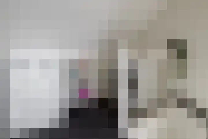 Hondsdraf 4 a Vroomshoop thumbnail 24