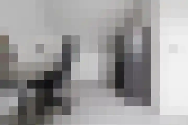 Hondsdraf 4 a Vroomshoop thumbnail 25