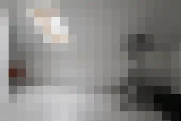 Hondsdraf 4 a Vroomshoop thumbnail 26