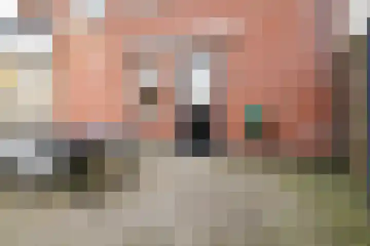 Hondsdraf 4 a Vroomshoop thumbnail 27