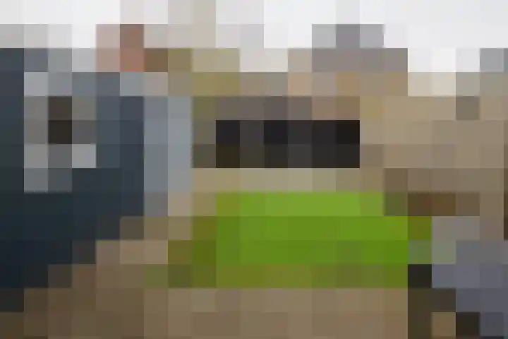 Hondsdraf 4 a Vroomshoop thumbnail 32