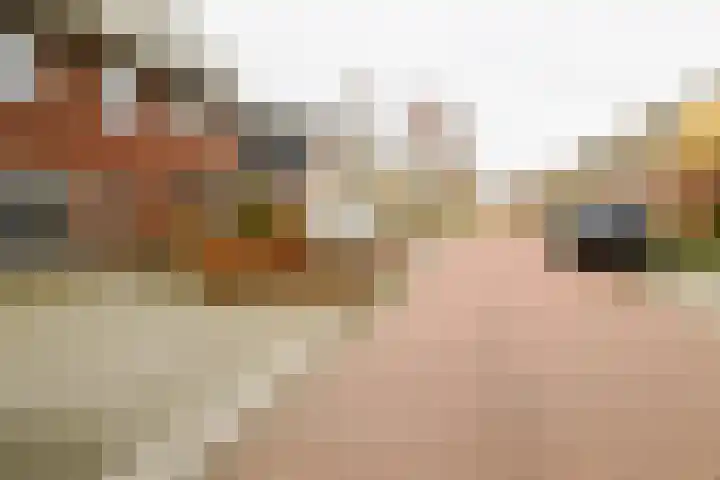 Hondsdraf 4 a Vroomshoop thumbnail 34