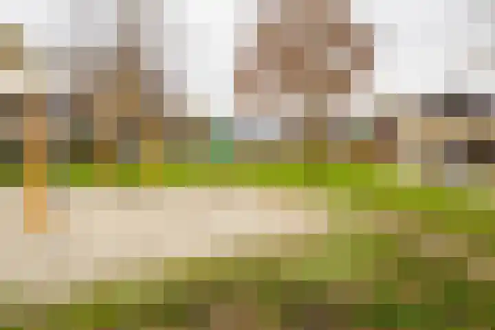 Hondsdraf 4 a Vroomshoop thumbnail 35
