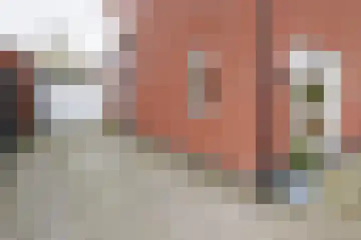 Hondsdraf 4 a Vroomshoop thumbnail 38