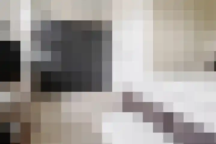 Hondsdraf 4 a Vroomshoop thumbnail 4