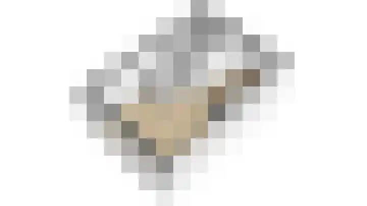 Hondsdraf 4 a Vroomshoop thumbnail 45