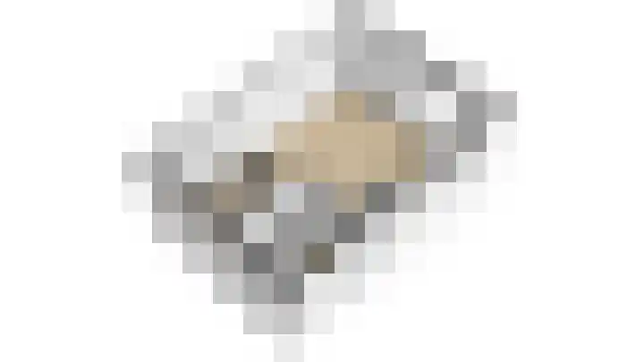 Hondsdraf 4 a Vroomshoop thumbnail 46