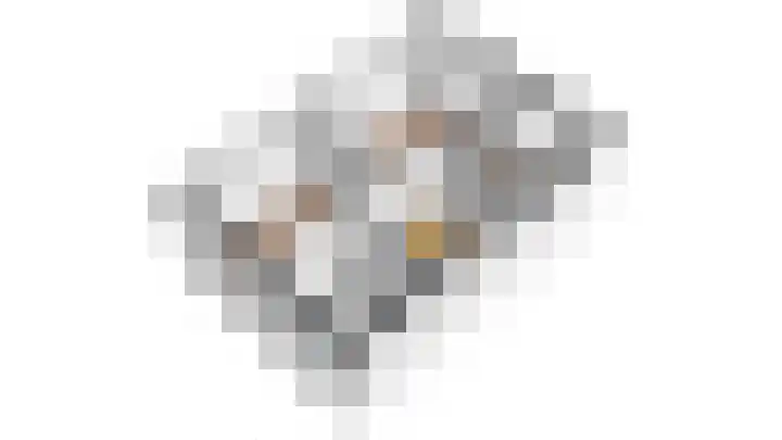 Hondsdraf 4 a Vroomshoop thumbnail 48