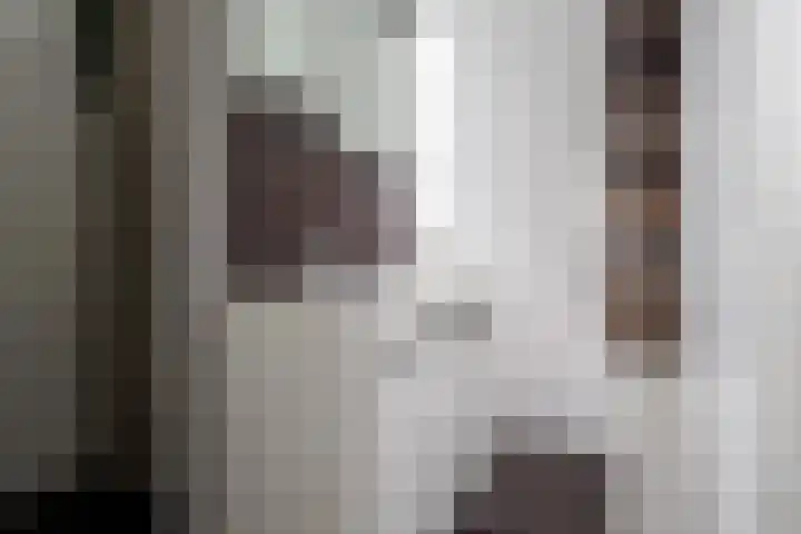 Hondsdraf 4 a Vroomshoop thumbnail 5