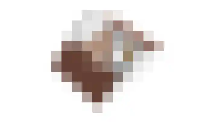 Hondsdraf 4 a Vroomshoop thumbnail 50