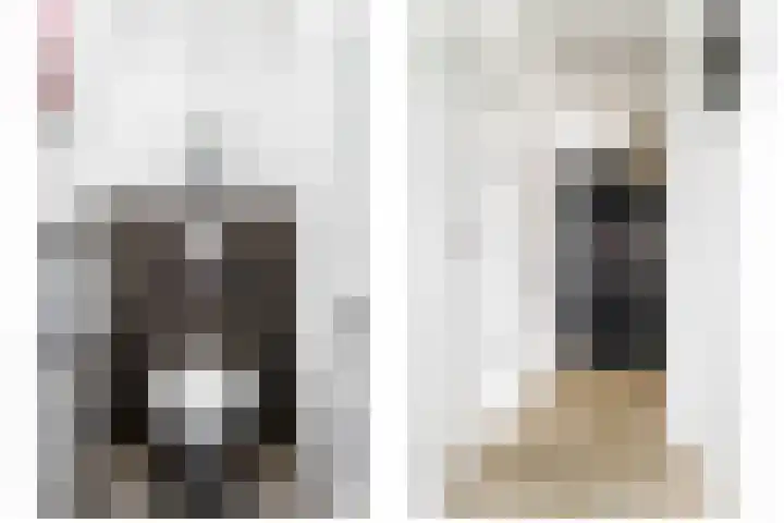 Hondsdraf 4 a Vroomshoop thumbnail 8