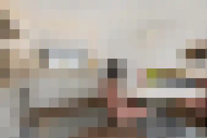Hondsdraf 4 's-Hertogenbosch thumbnail 10