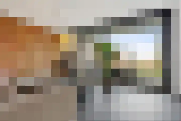 Hondsdraf 4 's-Hertogenbosch thumbnail 12