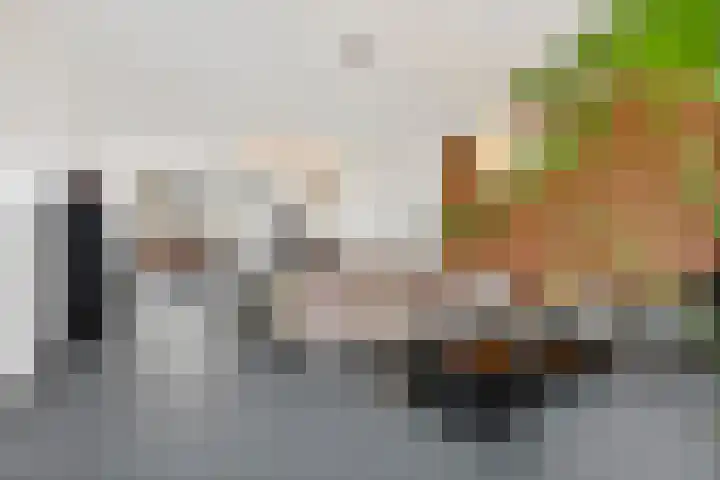 Hondsdraf 4 's-Hertogenbosch thumbnail 13