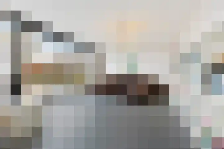 Hondsdraf 4 's-Hertogenbosch thumbnail 14